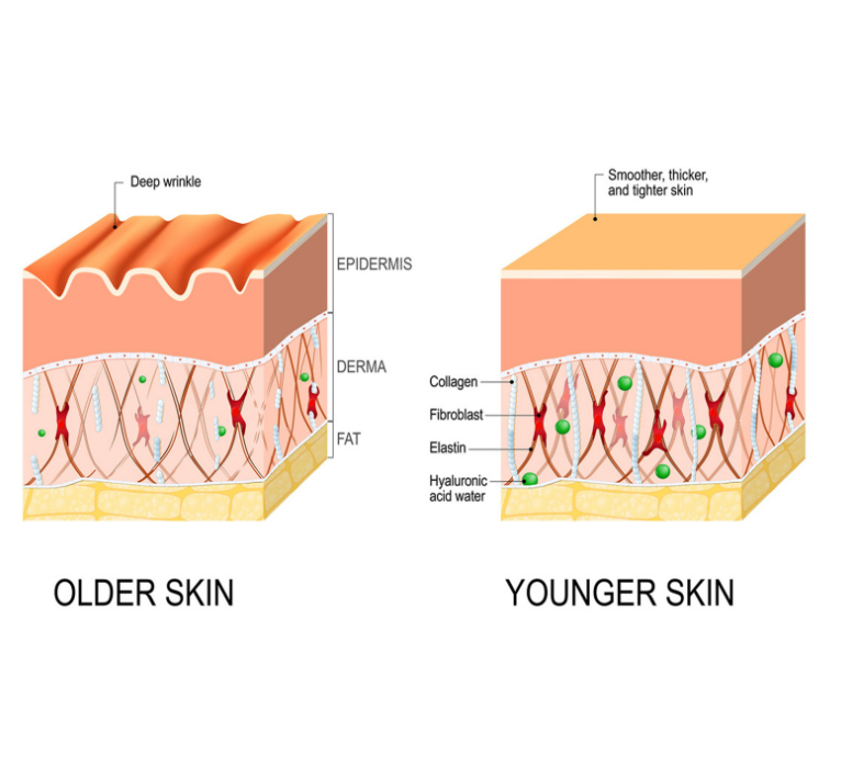 Anti-Wrinkle Firming Essence